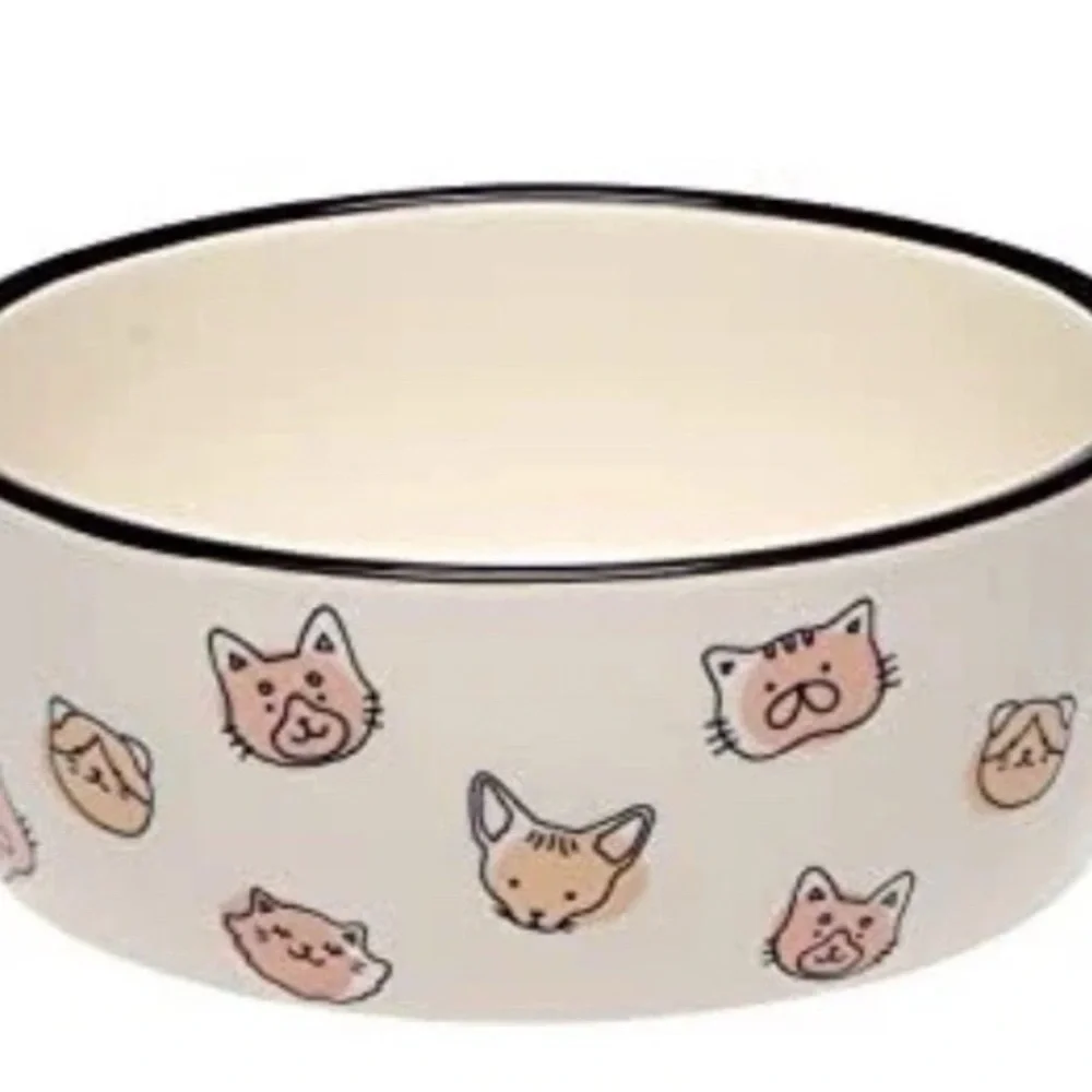 Cat Faces Pet Bowl Cat Water and Food Dish Pet Owner Cat Accessory Ceramic New